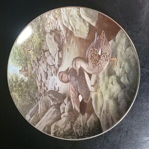 Vintage 1988 Knowles Plate, The Gadwall, limited edition